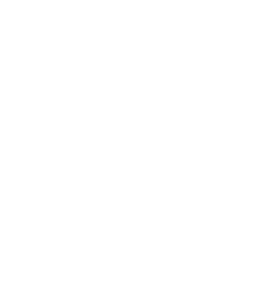 portfolio details logo